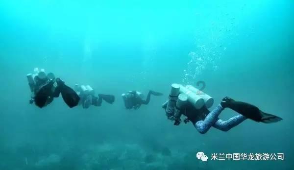小猫钓鱼正版下载中文版
